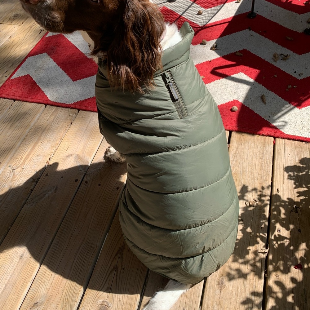 Doggie Olive Puffer Coat Size L